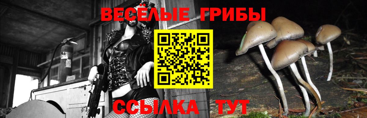 Верхняя Салда  наркота  Вход с VPN  Галлюциногенные грибы Psilocybine cubensis 